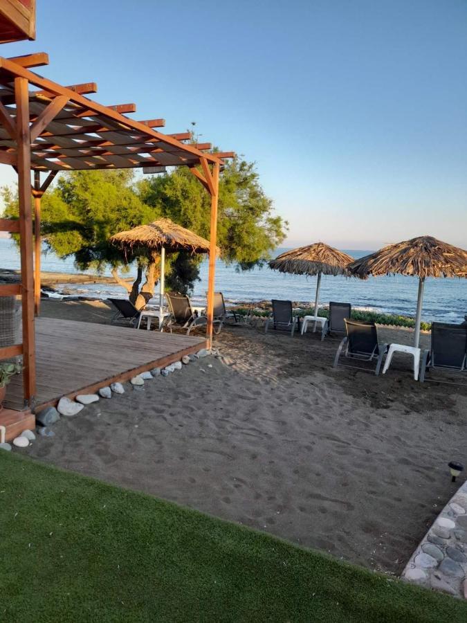 Wooden Apartment , Agia Marina Chrysochous Kato Yialia Eksteriør billede